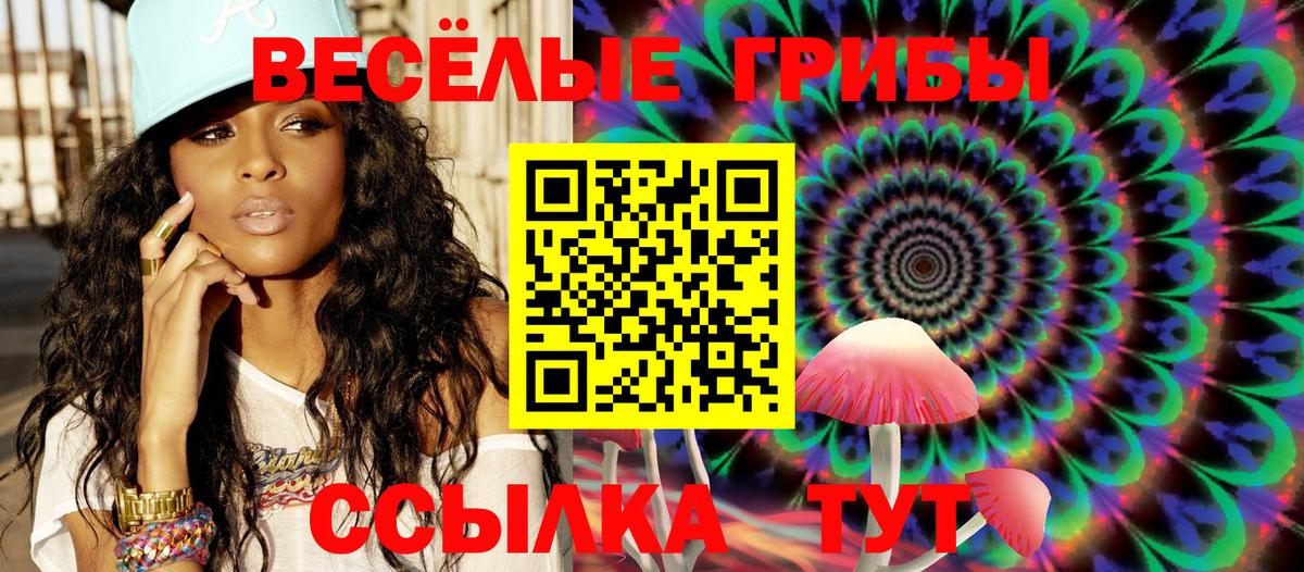 Псилоцибиновые грибы MAGIC MUSHROOMS Протвино