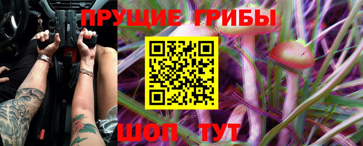 Псилоцибиновые грибы Psilocybine cubensis  Вход с VPN  Протвино 